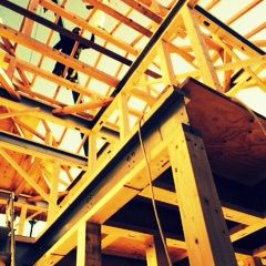 遠くから見守る。