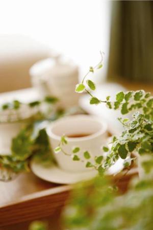 無事、完成見学会が終了