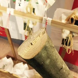 ミズノキと一緒に。