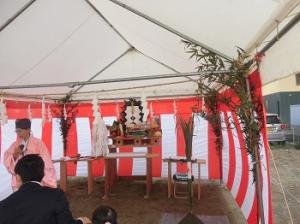 お花見ですね。