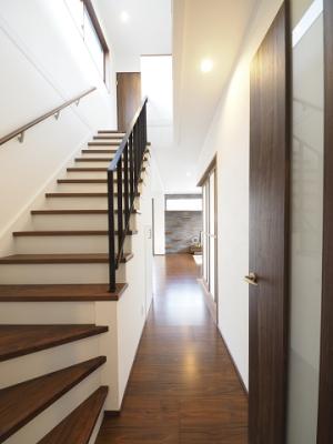 ネコの日ですって。