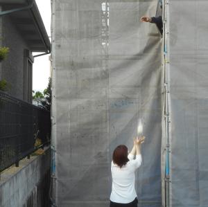 晴天に映える！