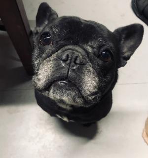 パナソニックショウルーム