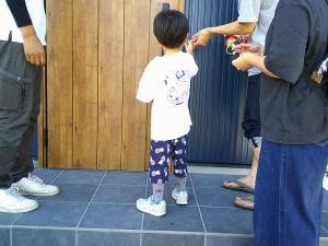 ネコとアダモと景色。