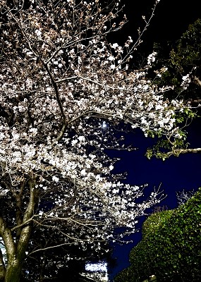 LiveSumaiを紡ぐ会社。