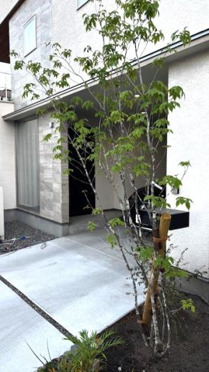 我が家について。その８